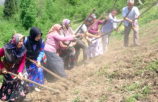 Bu İlçede Asırlık İmece Geleneği Yaşatılıyor