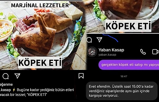 Bu İlde Köpek Eti Satışı İddiasında Gerçek Ortaya Çıktı