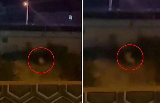 Bu kadarı da pes dedirtti: Yol kenarında cinsel ilişkiye girdiler