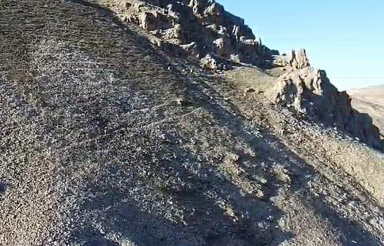 Bu Kez Palu'da Görüntülendiler!