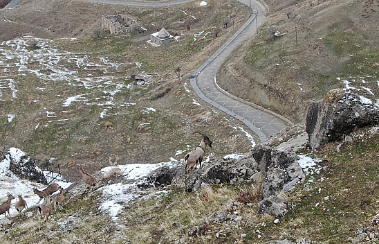 Bu kez Palu Kalesi'nde Drone ile görüntülendiler