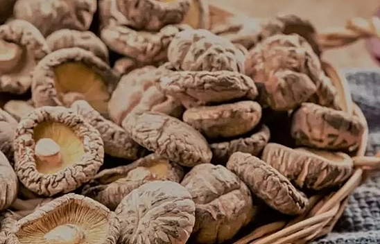 Bu mantarın tanesi 17 bin liradan satılıyor