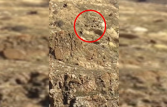 Bu sefer Harput'ta görüntülendiler