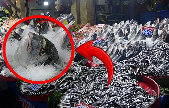 Burası Karadeniz'in değil Elazığ'ın tezgahı