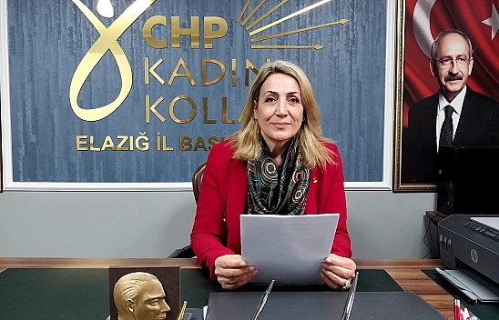 CHP Kadın Kolları Genel Başkanı Aylin Nazlıaka'nın 25 Kasım Kadına Yönelik Şiddete Karşı Açıklaması