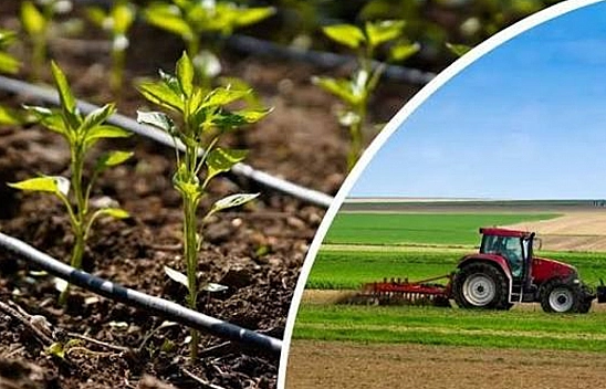 Çiftçilere müjde! Bakanlıktan 237 milyon TL destek