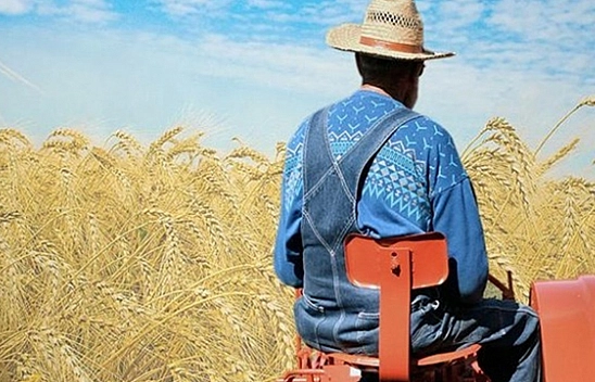 Çiftçilere Tarımsal Destek Ödemeleri Başladı