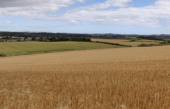 Çiftçilik yapmak isteyenlere müjde geldi: Boş araziler kiraya verilecek!