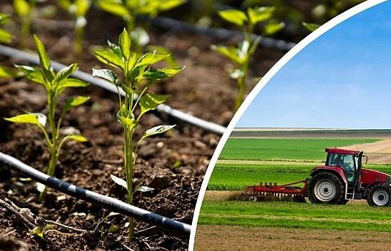 Çiftçiye destek tam gaz devam ediyor