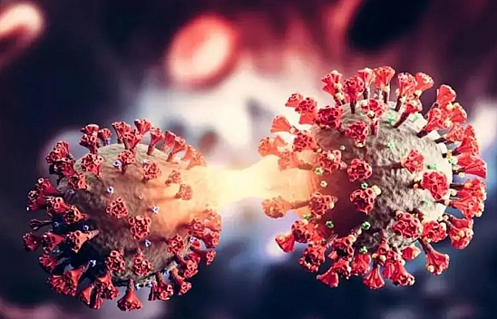 Çinli Bilim İnsanları Açıkladı 8 Yeni Virüs Bulundu! İnsanlara Bulaşabilir