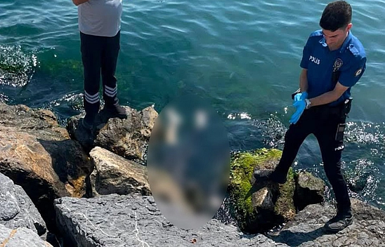 Denizde 2'si kadın 3 ceset bulundu!