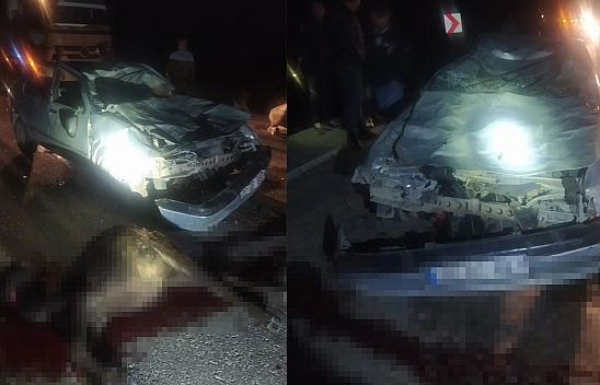 Diyarbakır'da Otomobil Mandalara Çarptı 2 Kişi Yaralandı 3 Manda Telef Oldu