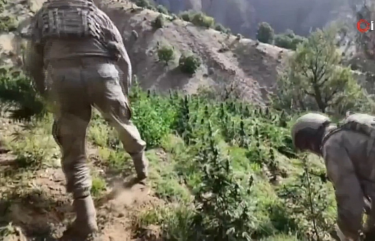 Diyarbakır'daki uyuşturucu operasyonuna Elazığ desteği: 25 gözaltı, 17 tutuklama