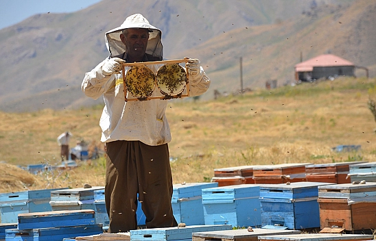 Doğal Bal Üreticileri Tedirgin