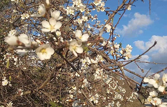 Elazığ'a cemre ne zaman düşecek?
