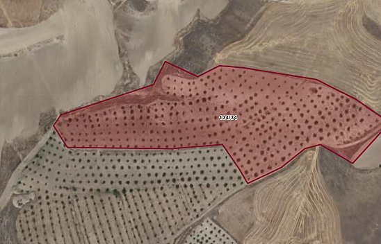Elazığ Baskil'de 27 dönümlük kayısı bahçesi icradan satışa çıkıyor… Değerinden aşağıya satılacak