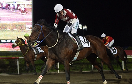Elazığ Belediye Başkanlığı Koşusu'nda zafer Hasoğlum'un