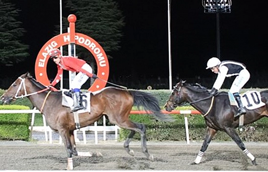 Elazığ Belediye Başkanlığı koşusunda zafer Drop'un