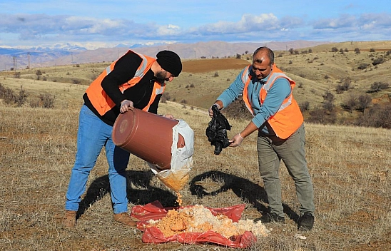 Elazığ Belediyesi doğaya yem bıraktı
