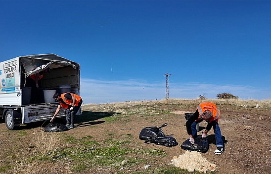 Elazığ Belediyesi'nden sokak ve yaban hayvanlarına kış desteği