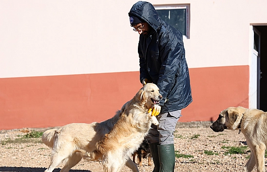 Elazığ Belediyesi'nin Yeni Hizmetiyle Artık Hayvan Sahiplenmek Daha Kolay