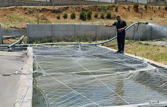 Elazığ Bu Proje ile Balık Üretimini Aralıksız Sürdürüyor1