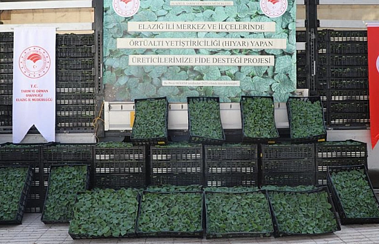 Elazığ'da 101 bin adet fide dağıtımı yapıldı