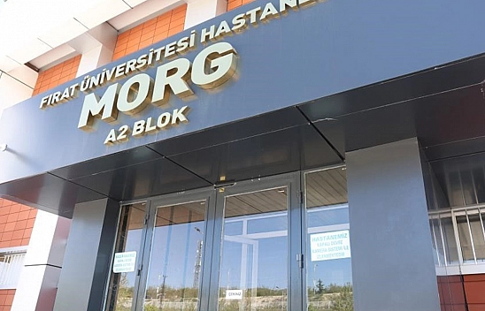 Elazığ'da 15 Gündür Haber Alınamayan Şahıs, Bahçede Ölü Bulundu