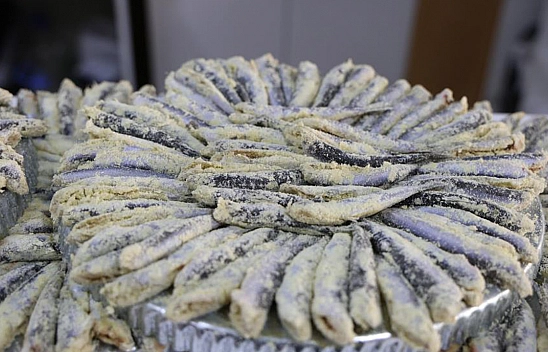 Elazığ'da 2 Kardeşin 'Balık Teknesi'