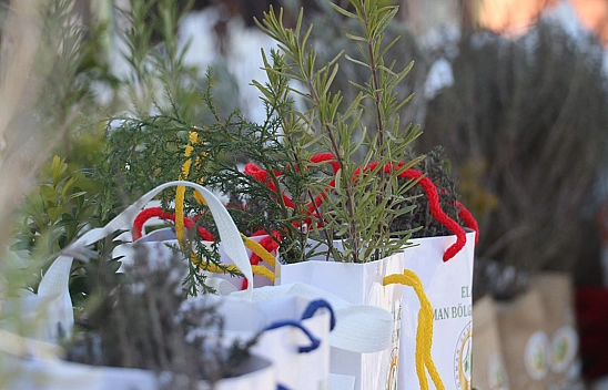 Elazığ'da 23 bin adet fidan dağıtıldı