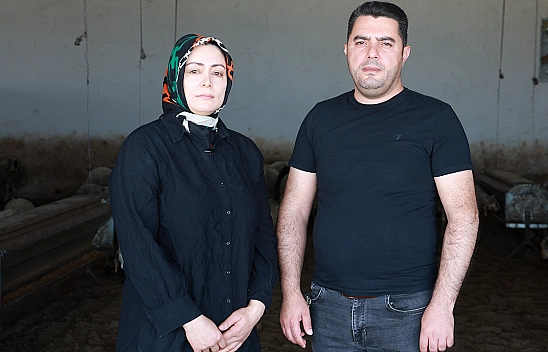 Elazığ'da 3 Çocuklu Anneden Örnek Girişim: Devlet Desteğiyle Kurulan Küçükbaş Çiftliği