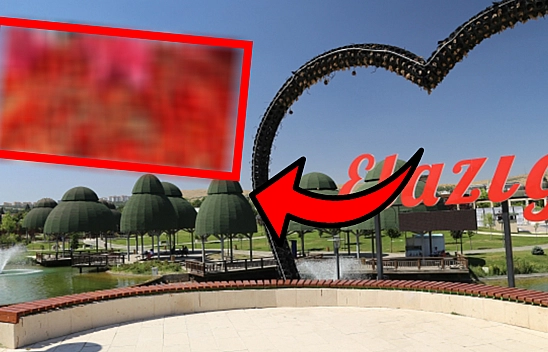 Elazığ'da 3 kilosu 50 liradan satıldı vatandaşlar poşet poşet aldı