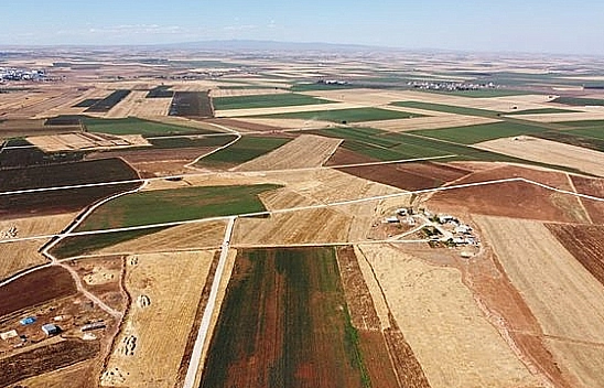 Elazığ'da 45 Bin TL'ye arsa: Milli Emlak'tan dev fırsat