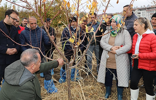 Elazığ'da ağaç budama ve aşılama eğitimi