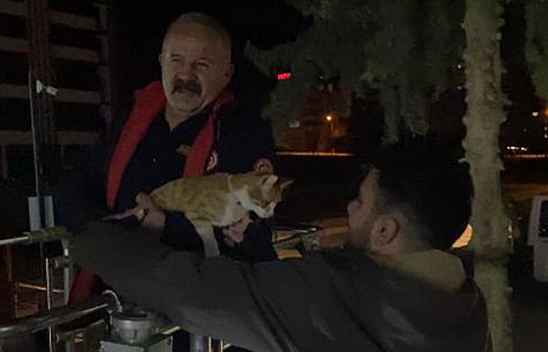 Elazığ'da Ağaçta Mahsur Kalan Kediyi İtfaiye Ekipleri Kurtardı