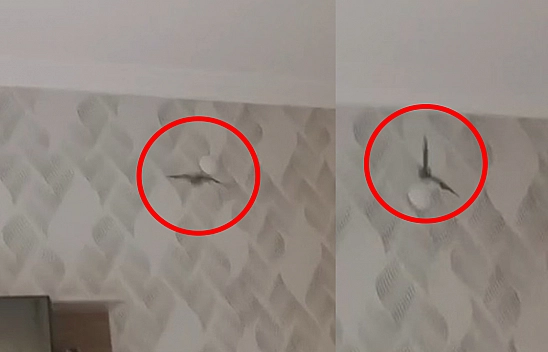 Elazığ'da akıllara durgunluk veren olay: Klimanın içinden çıkanlar şok etti