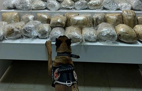 Elazığ'da Alex 45 Kg Uyuşturucu Buldu!