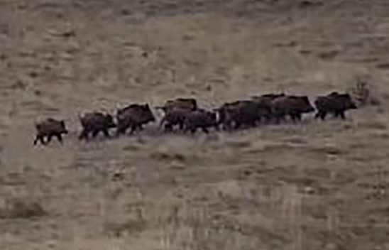 Elazığ'da Alışıldık, Ama Her Defasında Hayretlere Düşüren Görüntüler