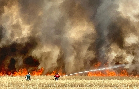 Elazığ'da arazi yangını: Ekili alanlar da küle döndü