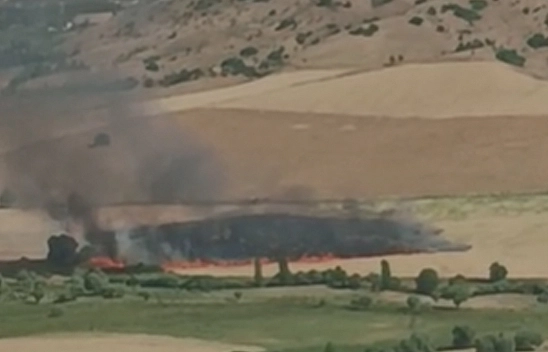 Elazığ'da arazi yangını!