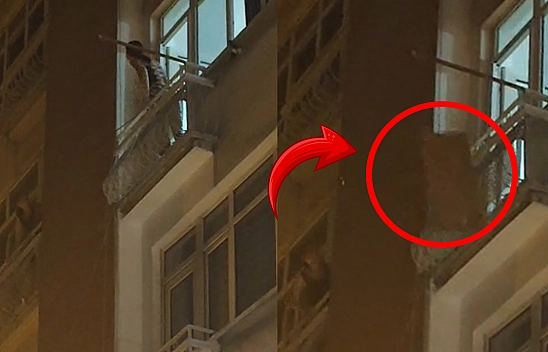 Elazığ'da asayiş tatile çıktı: dolap kapağı fırlatıldı, tehdit ve küfürler havada uçuştu