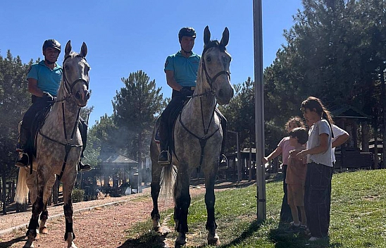 Elazığ'da Atlı Jandarma timleri denetim yaptı