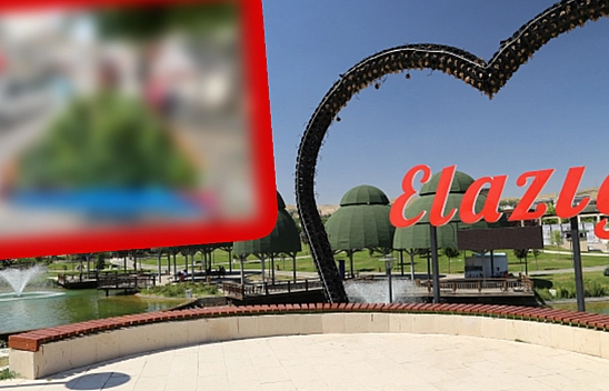 Elazığ'da Ayın En Ucuzu: Fiyatını Duyan Poşetlerini Doldurdu