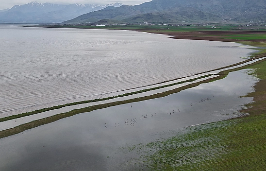Elazığ'da aynı nokta, 7 yıl arayla: 2019'da kurudu, 2026'da sular altında kaldı