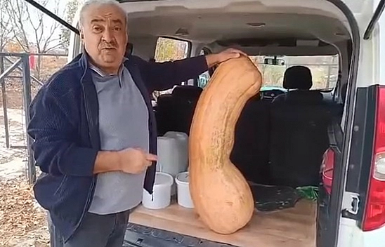 Elazığ'da bahçeden 47 kiloluk rekor kabak çıktı