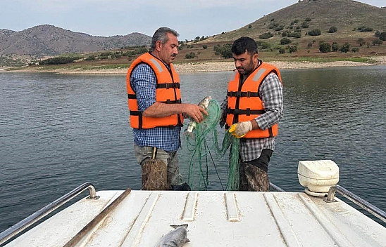 Elazığ'da baraj göllerinde istilacı türler inceleniyor