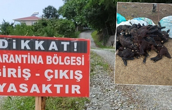 Elazığ'da başlamıştı Tunceli'ye de sıçradı: Karantina bölgesi büyüyor!