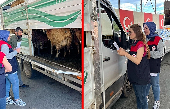 Elazığ'da bayram öncesi yollarda sıkı kurbanlık denetimi