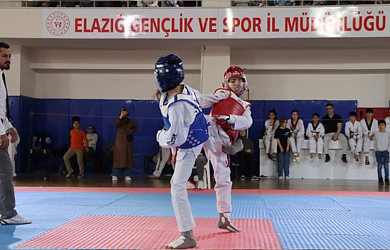 Elazığ'da bilek güreşi ve taekwondo müsabakaları tamamlandı
