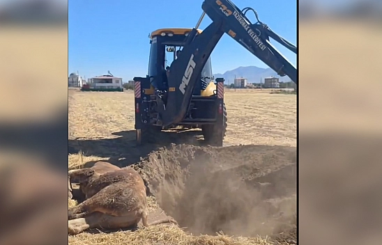 Elazığ'da bir belediyenin uygulamasına büyük tepki